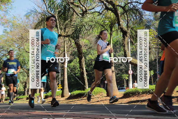 Buy your photos of the event35 Corrida INTEGRAO EPTV 10K on Fotop