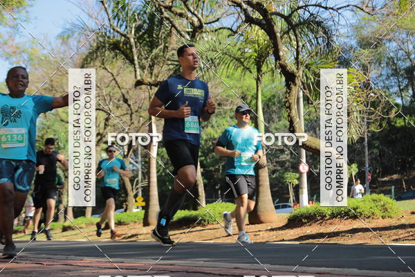 Buy your photos of the event35 Corrida INTEGRAO EPTV 10K on Fotop