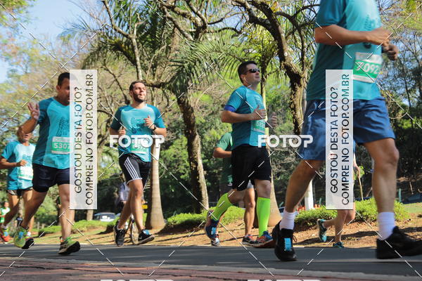 Buy your photos of the event35 Corrida INTEGRAO EPTV 10K on Fotop