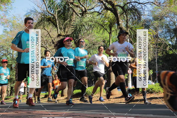Buy your photos of the event35 Corrida INTEGRAO EPTV 10K on Fotop