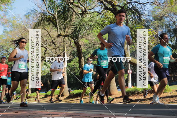 Buy your photos of the event35� Corrida INTEGRA��O EPTV 10K on Fotop