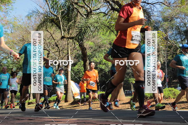 Buy your photos of the event35� Corrida INTEGRA��O EPTV 10K on Fotop