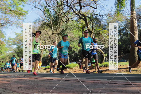 Buy your photos of the event35� Corrida INTEGRA��O EPTV 10K on Fotop