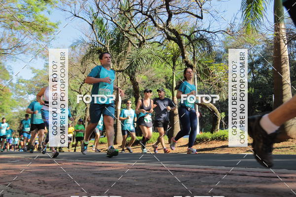 Acquista le foto dell'evento35 Corrida INTEGRAO EPTV 10K in Fotop