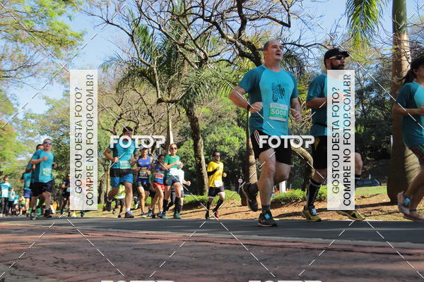 Acquista le foto dell'evento35 Corrida INTEGRAO EPTV 10K in Fotop