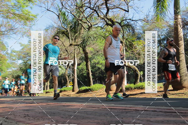 Acquista le foto dell'evento35 Corrida INTEGRAO EPTV 10K in Fotop