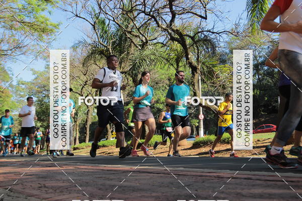 Compra tus fotos del evento35 Corrida INTEGRAO EPTV 10K En Fotop