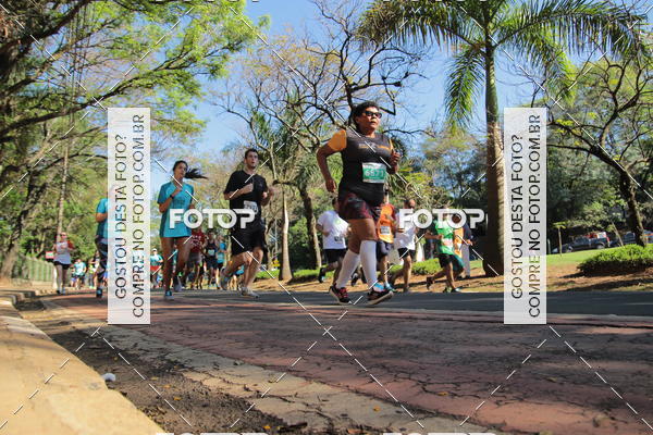Buy your photos of the event35 Corrida INTEGRAO EPTV 10K on Fotop