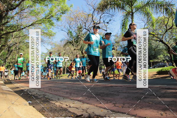 Buy your photos of the event35 Corrida INTEGRAO EPTV 10K on Fotop