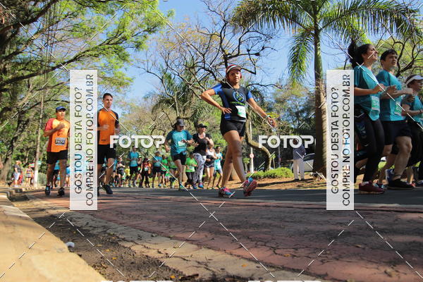 Buy your photos of the event35 Corrida INTEGRAO EPTV 10K on Fotop