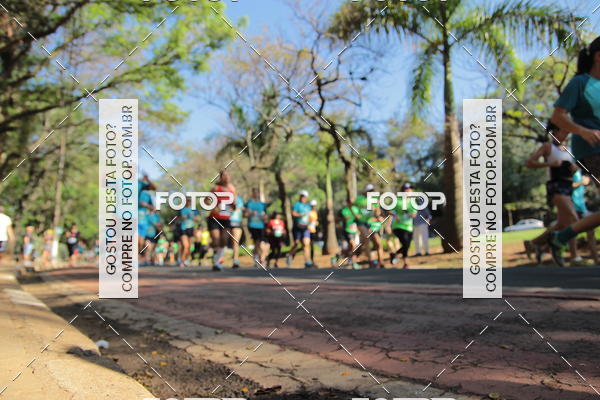 Buy your photos of the event35 Corrida INTEGRAO EPTV 10K on Fotop