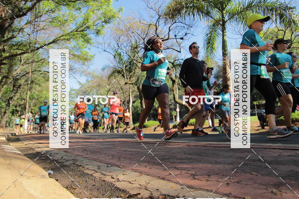 Buy your photos of the event35 Corrida INTEGRAO EPTV 10K on Fotop