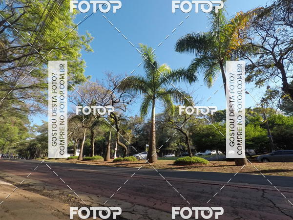 Buy your photos of the event35� Corrida INTEGRA��O EPTV 10K on Fotop