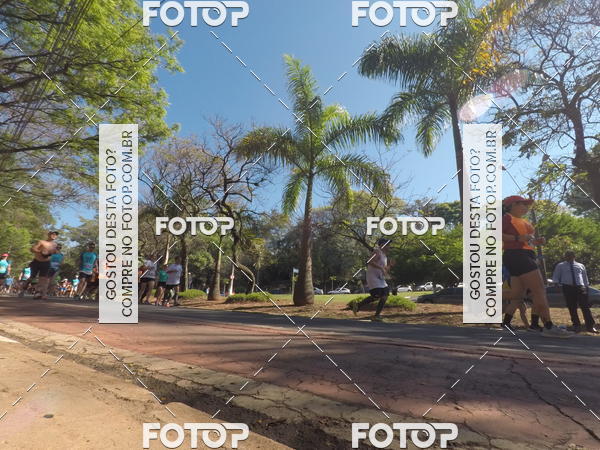 Buy your photos of the event35� Corrida INTEGRA��O EPTV 10K on Fotop