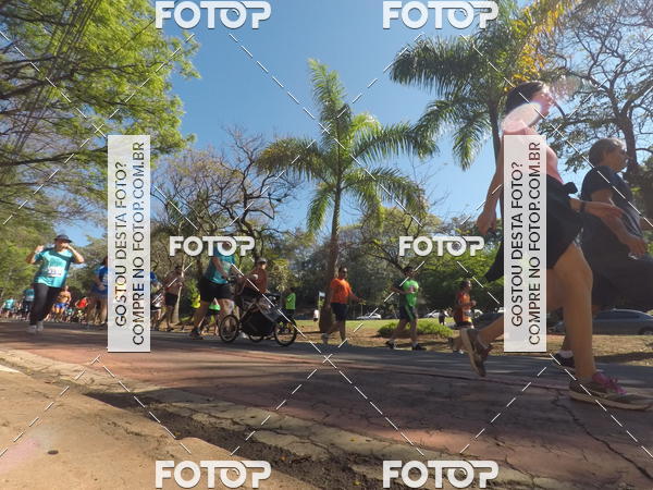 Buy your photos of the event35� Corrida INTEGRA��O EPTV 10K on Fotop