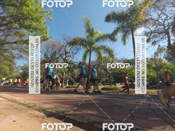 Buy your photos of the event35� Corrida INTEGRA��O EPTV 10K on Fotop