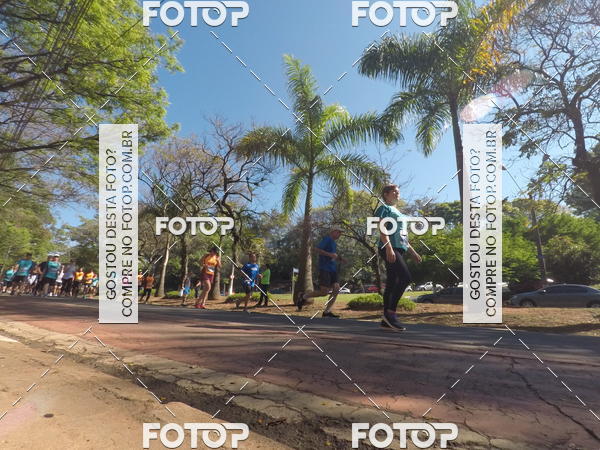 Buy your photos of the event35� Corrida INTEGRA��O EPTV 10K on Fotop