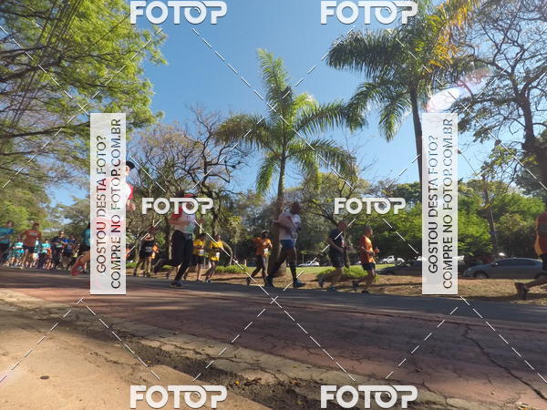 Buy your photos of the event35� Corrida INTEGRA��O EPTV 10K on Fotop