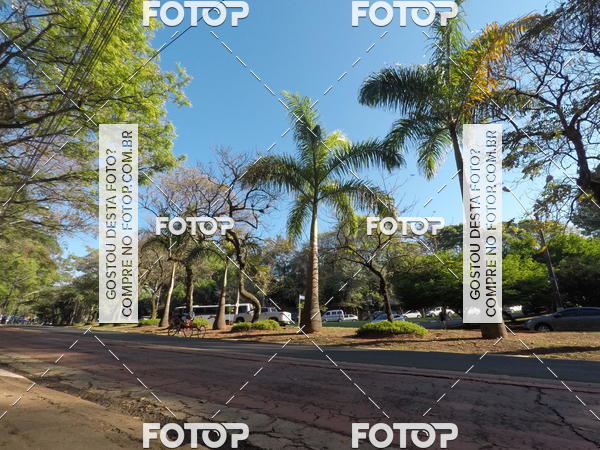 Buy your photos of the event35� Corrida INTEGRA��O EPTV 10K on Fotop