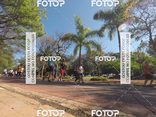 Buy your photos of the event35� Corrida INTEGRA��O EPTV 10K on Fotop