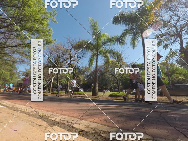 Buy your photos of the event35� Corrida INTEGRA��O EPTV 10K on Fotop
