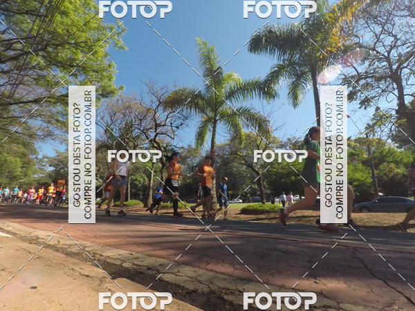Buy your photos of the event35� Corrida INTEGRA��O EPTV 10K on Fotop