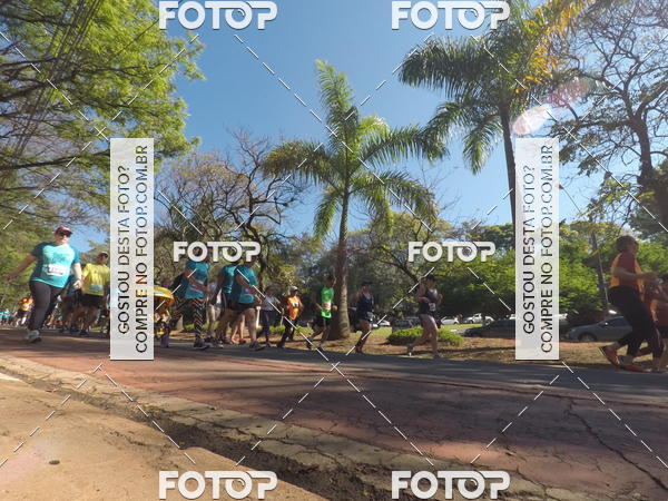 Buy your photos of the event35� Corrida INTEGRA��O EPTV 10K on Fotop