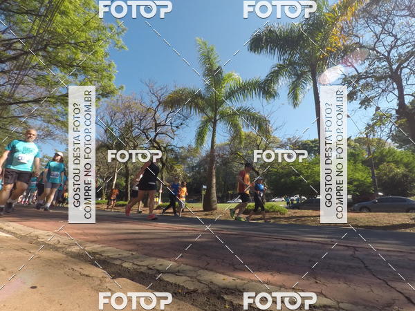 Buy your photos of the event35� Corrida INTEGRA��O EPTV 10K on Fotop