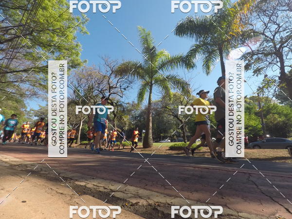 Buy your photos of the event35� Corrida INTEGRA��O EPTV 10K on Fotop