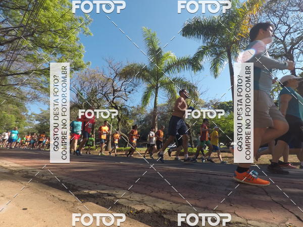 Acquista le foto dell'evento35� Corrida INTEGRA��O EPTV 10K in Fotop