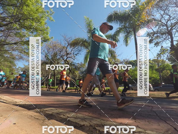 Acquista le foto dell'evento35� Corrida INTEGRA��O EPTV 10K in Fotop