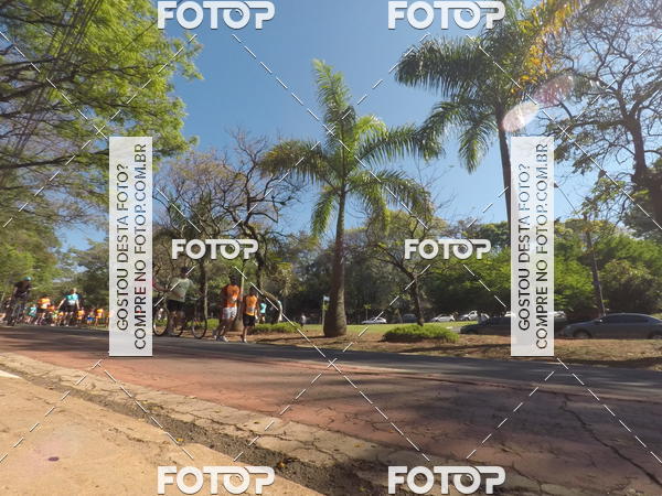 Acquista le foto dell'evento35� Corrida INTEGRA��O EPTV 10K in Fotop