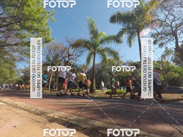 Acquista le foto dell'evento35� Corrida INTEGRA��O EPTV 10K in Fotop