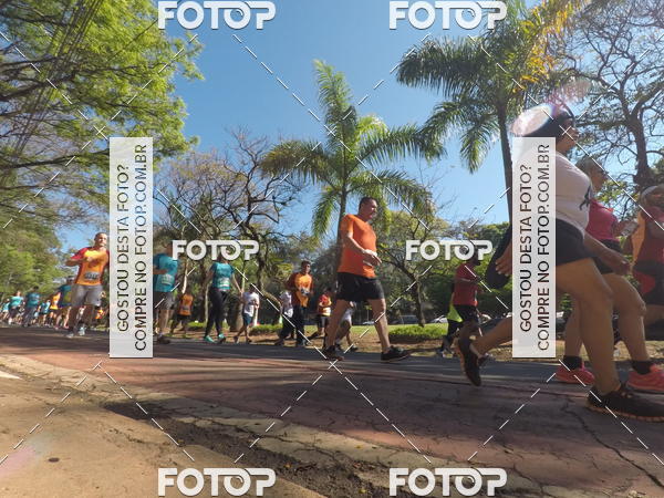 Acquista le foto dell'evento35� Corrida INTEGRA��O EPTV 10K in Fotop