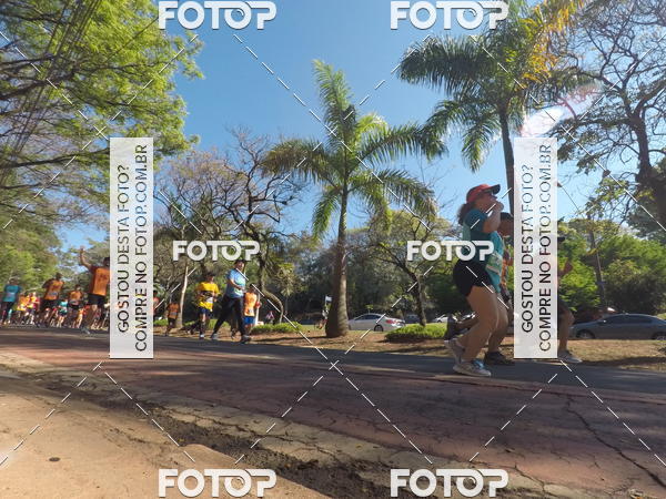Acquista le foto dell'evento35� Corrida INTEGRA��O EPTV 10K in Fotop
