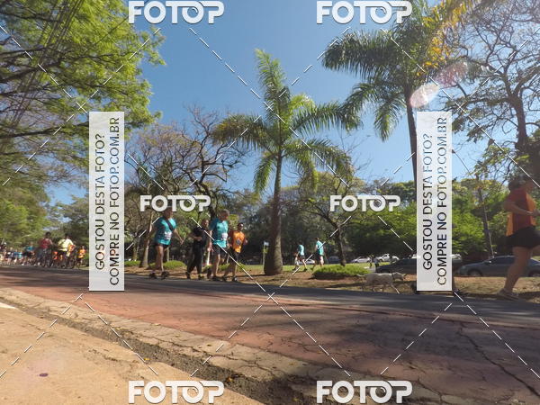 Acquista le foto dell'evento35� Corrida INTEGRA��O EPTV 10K in Fotop