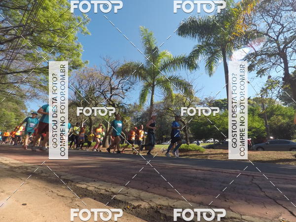 Buy your photos of the event35� Corrida INTEGRA��O EPTV 10K on Fotop