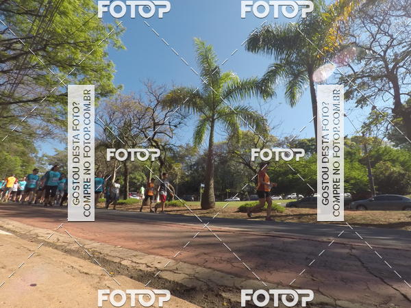 Buy your photos of the event35� Corrida INTEGRA��O EPTV 10K on Fotop