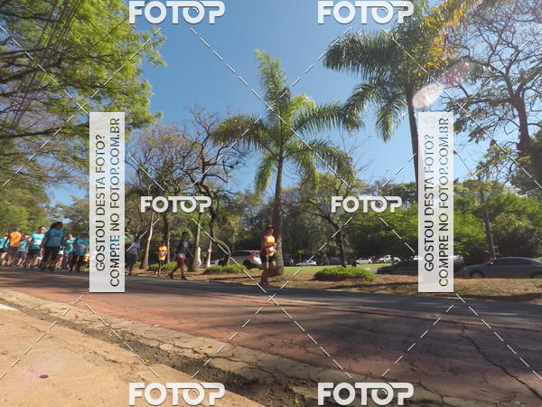 Buy your photos of the event35� Corrida INTEGRA��O EPTV 10K on Fotop