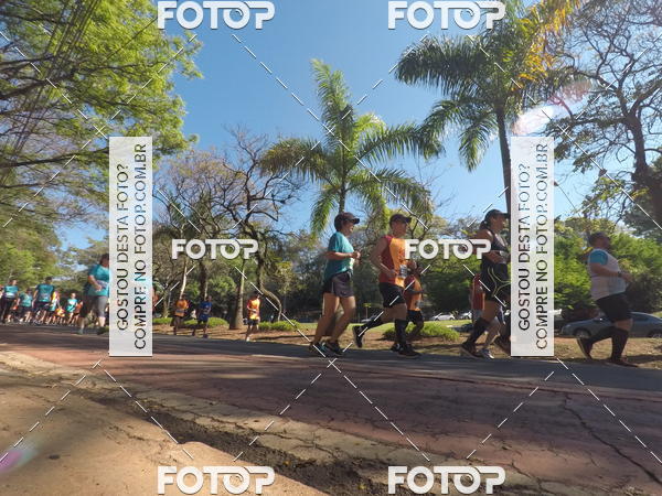 Buy your photos of the event35� Corrida INTEGRA��O EPTV 10K on Fotop