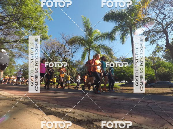 Buy your photos of the event35� Corrida INTEGRA��O EPTV 10K on Fotop