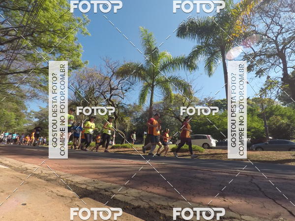 Buy your photos of the event35� Corrida INTEGRA��O EPTV 10K on Fotop