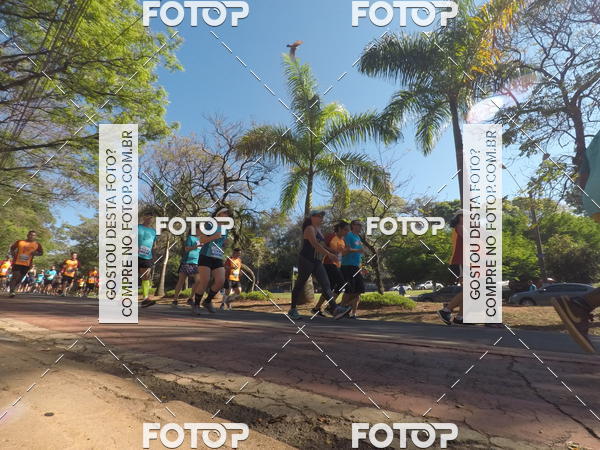 Buy your photos of the event35� Corrida INTEGRA��O EPTV 10K on Fotop
