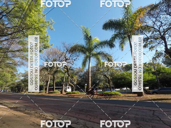 Buy your photos of the event35� Corrida INTEGRA��O EPTV 10K on Fotop