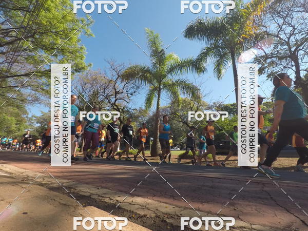 Buy your photos of the event35� Corrida INTEGRA��O EPTV 10K on Fotop