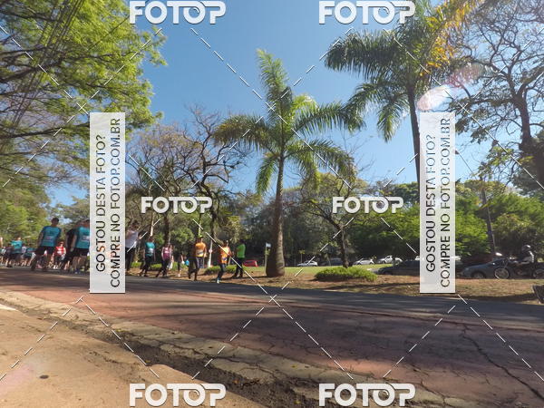 Buy your photos of the event35� Corrida INTEGRA��O EPTV 10K on Fotop
