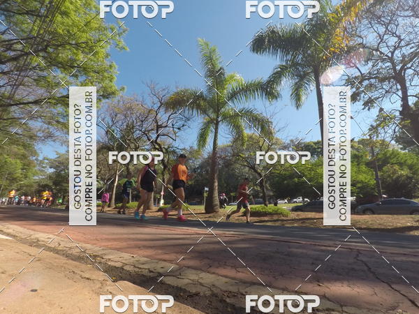 Buy your photos of the event35� Corrida INTEGRA��O EPTV 10K on Fotop