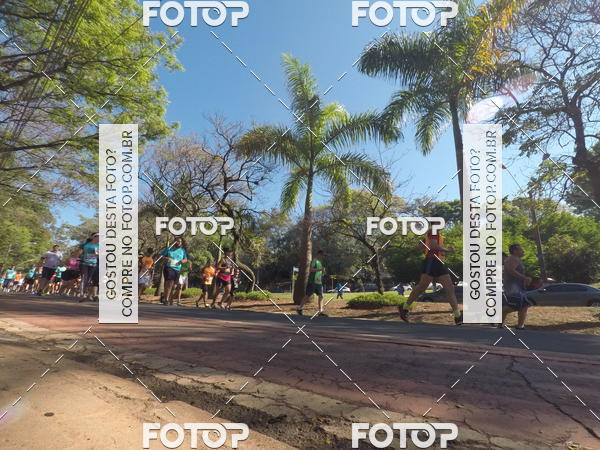 Buy your photos of the event35� Corrida INTEGRA��O EPTV 10K on Fotop
