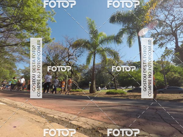 Buy your photos of the event35� Corrida INTEGRA��O EPTV 10K on Fotop