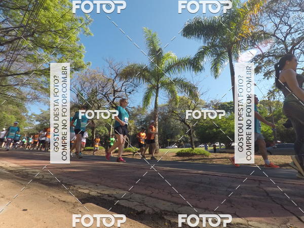 Buy your photos of the event35� Corrida INTEGRA��O EPTV 10K on Fotop